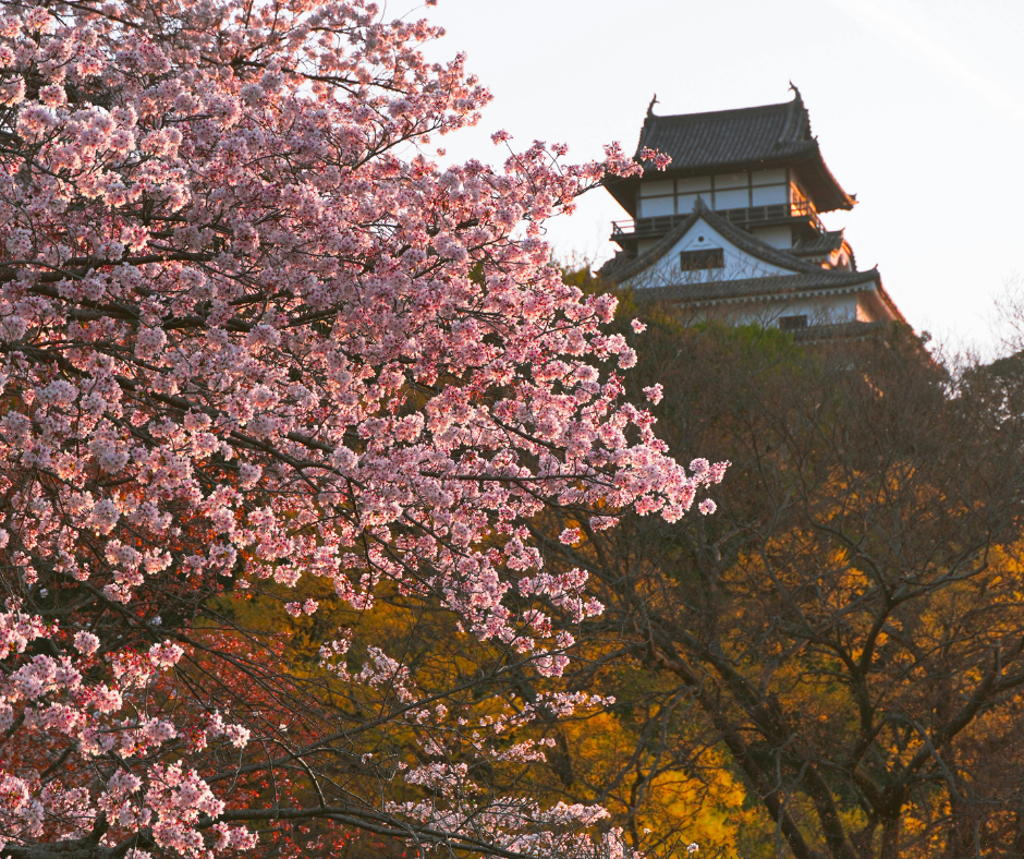 Strategi Jitu Lawan Malas ala Jepang